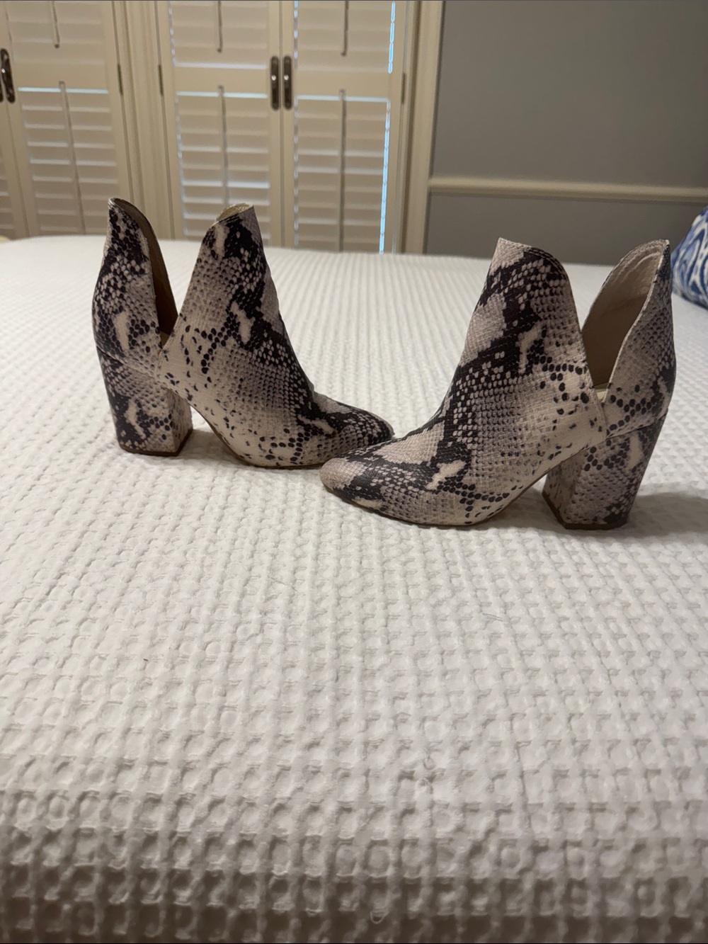 Steve Madden Snake-Print High Heel Ankle Boots - Black & Cream